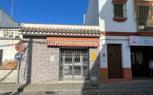 EN VENTA, REF. 41310-193 BRENES (SEVILLA)